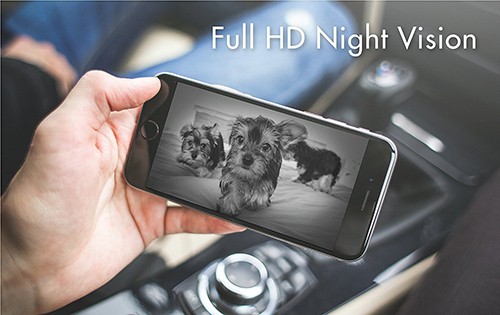 pet camera night vision