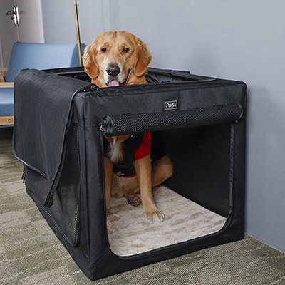 soft dog crate durability