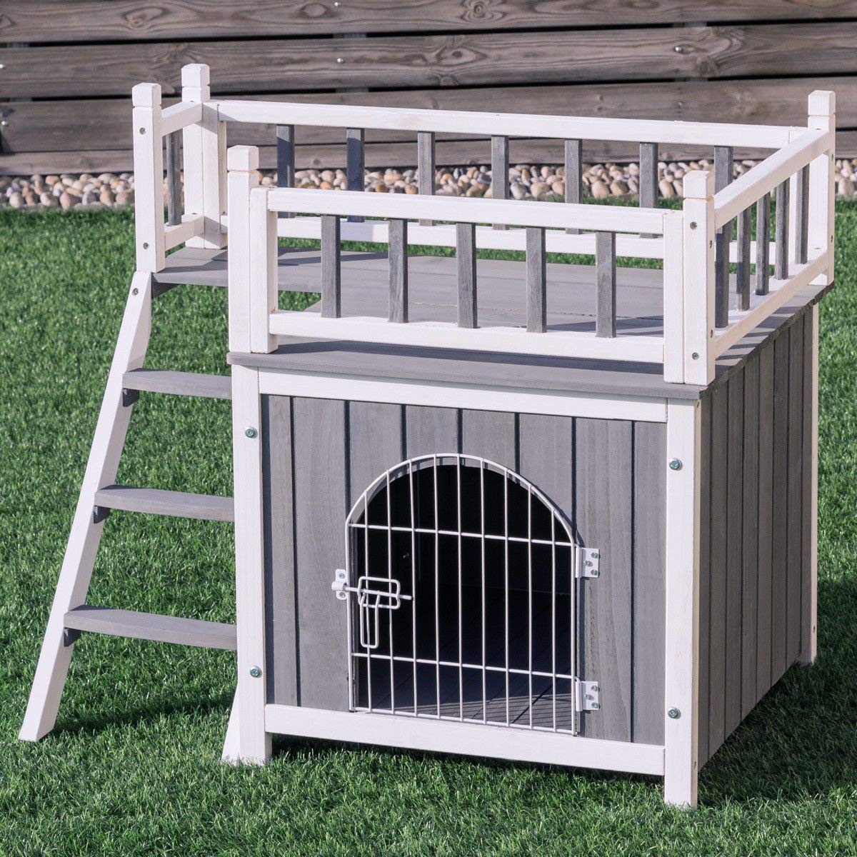 Dog Bunk Bed Best Beds For, Puppy Bunk Beds