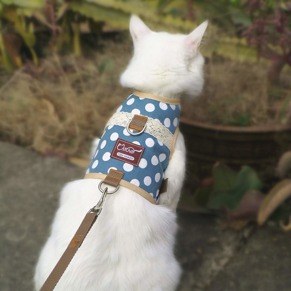 travel cat harness