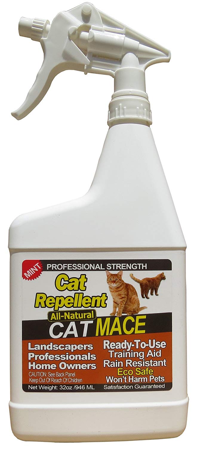 Best Outdoor Feline Repellent Spray for your Cat