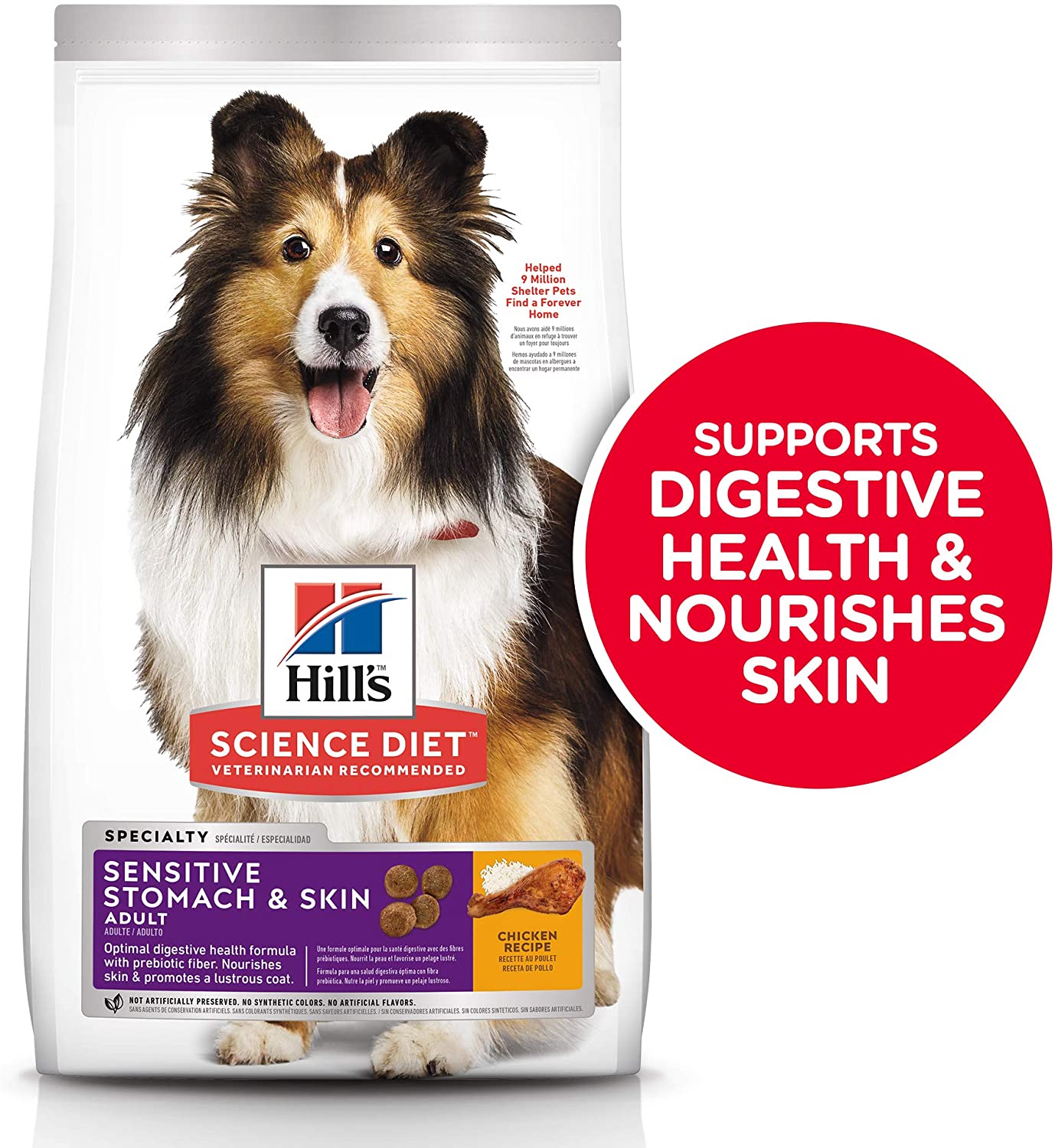 best dog food for digestive care